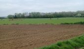 Tour Wandern Nivelles - Boucle champêtre Nivelles/Genappe  - Photo 3