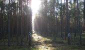 Tocht Te voet Am Mellensee - Kloserrundwanderweg - Photo 1