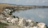 Tour Wandern Berre-l'Étang - PF-Berre-l'Etang - Saint Chamas - La Petite Camargue - Photo 3