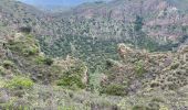 Tocht Stappen Santa Brígida - Cratère de Bandama (Gran Canaria) - Photo 8