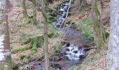 Randonnée Marche Le Hohwald - Le Hohwald Source et Cascade - Photo 3