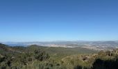 Tour Wandern La Seyne-sur-Mer - Notre Dame du Mai - Cap Sicié - Photo 6