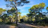 Tocht Stappen Le Castellet - Les Barres du plan de Castellet - Photo 2