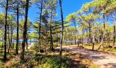 Tour Wandern La Guérinière - Jeun et rando J2 La Guérinière - Photo 5