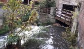 Percorso Marcia Rouen - Darnétal le long du Robec vers la petite Bouverie et retour - Photo 2