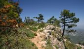 Trail On foot Tivissa - La predicció del Temps, la Miranda - Photo 3