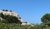 Trail Walking Marseille - Devenson Jean Luc - Photo 4