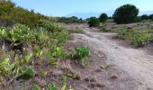 Excursión Senderismo Argelès-sur-Mer - réserve du mas larrieu - argeles / via la plage et retour via les terres et le tech  - Photo 3