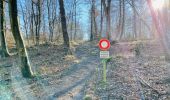 Tocht Stappen Compiègne - en forêt de Compiègne_47_autour des Beaux Monts - Photo 20