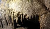 Randonnée Autre activité Dinant - grotte la merveilleuse  - Photo 15