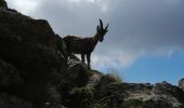 Randonnée Marche Isola - Cimes et lacs de Lausfer  - Photo 9