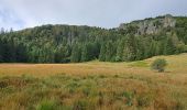 Trail Walking Le Valtin - VOSGES 2023 - Col de la Schlucht - Les Rochers de Hirschteine - Photo 14