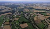 Tocht Te voet Liebenau - Liebenau Rundweg Li2 - Photo 2