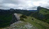 Tour Wandern Léoncel - Pierre Chauve  - Photo 3