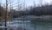 Trail Walking Ferrières - entre xhoris et bois de monty - Photo 12