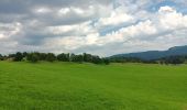 Trail Walking Lajoux - Le crêt de la vigoureuse (le vrai) - Photo 1