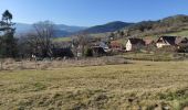 Tour Wandern Münster im Elsass - Munster Haslach  - Photo 1