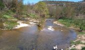 Randonnée Marche Berrias-et-Casteljau - Gorges du Chassezac - Photo 10