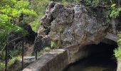 Trail Walking Saint-Cézaire-sur-Siagne - Le canal et la rivière de la Siagne  - Photo 15