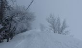 Trail Snowshoes Lans-en-Vercors - la moliere - Photo 1