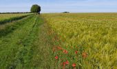 Tocht Stappen Étampes - base de loisirs d'Etampes - Photo 2