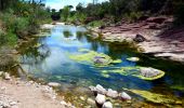 Excursión Senderismo Le Muy - SityTrail - les p'tits étangs de Palayson - Photo 13