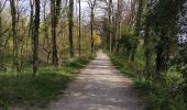 Trail Walking Saint-Julien-en-Genevois - Le long de l'Aire (Départ Thairy) - Photo 16