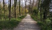 Randonnée Marche Saint-Julien-en-Genevois - Le long de l'Aire (Départ Thairy) - Photo 16