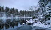 Percorso A piedi Kuusamo - Pieni Karhunkierros - Photo 3