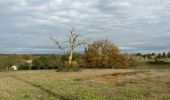 Tour Wandern Les Pins - La randonnée des moulins  - Photo 8