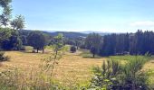 Trail Walking Saint-Germain-l'Herm - St_Germain_Herm_Bois_Moranges - Photo 1