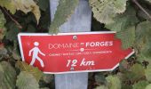 Tour Wandern Forges-les-Eaux - Forges - Serqueux par voie verte puis campagne - Photo 2