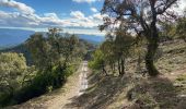 Randonnée Marche Pignans - Sainte Marie des Anges 15,8 km - Photo 4