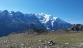 Percorso Marcia Chamonix-Mont-Blanc - MASSIF DU MONT BLANC: INDEX-LAC BLANC-FLEGERE - Photo 16