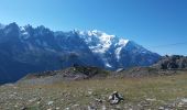 Excursión Senderismo Chamonix-Mont-Blanc - MASSIF DU MONT BLANC: INDEX-LAC BLANC-FLEGERE - Photo 16