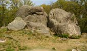 Trail Walking Toulx-Sainte-Croix - les pierres jaumatres (Toulx st croix) - Photo 7