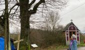 Trail Walking Ciney - Ychippe - Photo 16