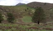 Tour Wandern Orcines - Puys de Dôme et Pariou 6.5.24 - Photo 1