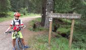 Trail Mountain bike La Bresse - la bresse lispacht - Photo 3