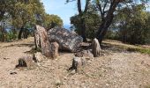 Tour Wandern Roquebrune-sur-Argens - les petites maures les issambres - Photo 6