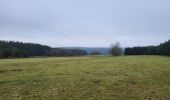 Trail Walking Houffalize - Pisserotte 151224 - Photo 6