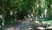 Trail Walking Guipavas - Kerhuon-Guipavas-Brest entre mer et forêts  - Photo 16