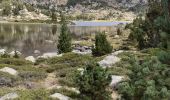 Tocht Stappen Les Angles - Lacs de Bouillouse Pyrénnées - Photo 4