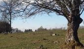 Randonnée Marche Manhay - plateau des tailles depuis Odeigne  - Photo 6