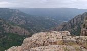 Trail Walking Prévenchères - GORGES DU CHASSEZAC DEPUIS LA GARDE- GUERIN - Photo 7