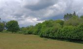 Tour Wandern Anthisnes - qwadrifyon entre la rock, sparmont et bloquay - Photo 11