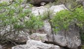 Trail Walking Mazaugues - Saut du Cabri gorges du Carami - Photo 2