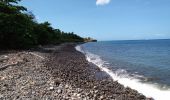 Randonnée Marche Vieux-Habitants - Pointe Beaugendre - Plage de l'Etang - Photo 2