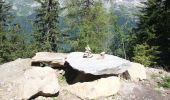 Tocht Stappen Chamonix-Mont-Blanc - Trajet Retour - Photo 16