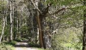 Tour Wandern Havelange - gros-chêne Chêne barvaux cdz - Photo 15